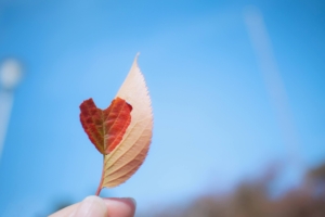 いよいよオリジナルオラクルカードの挑戦が始まります！