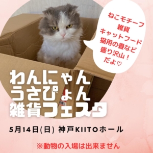 犬・猫・うさぎちゃんSNS告知！インスタフォローしてね！